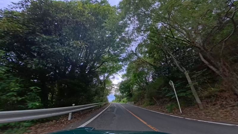 金甲山